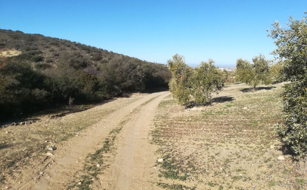 Fotografía de la ruta Camino del Barranco