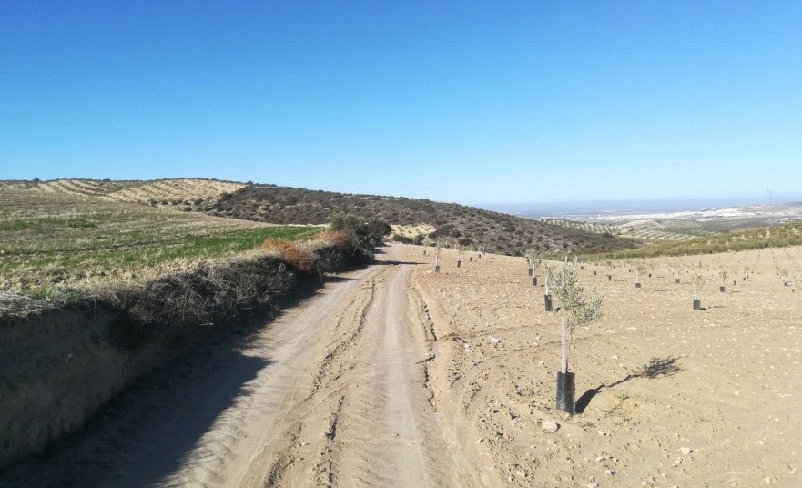 Fotografía de la ruta Camino del Barranco