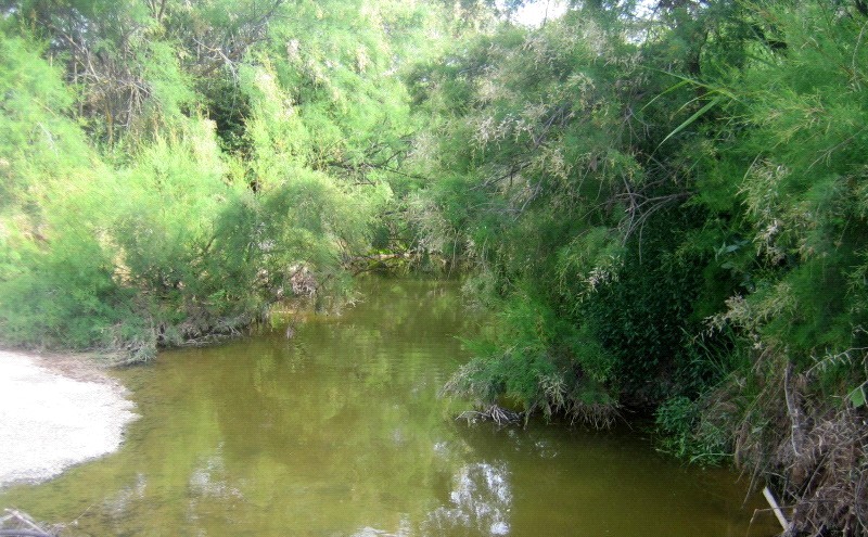 Fotografía ruta de La Calderona