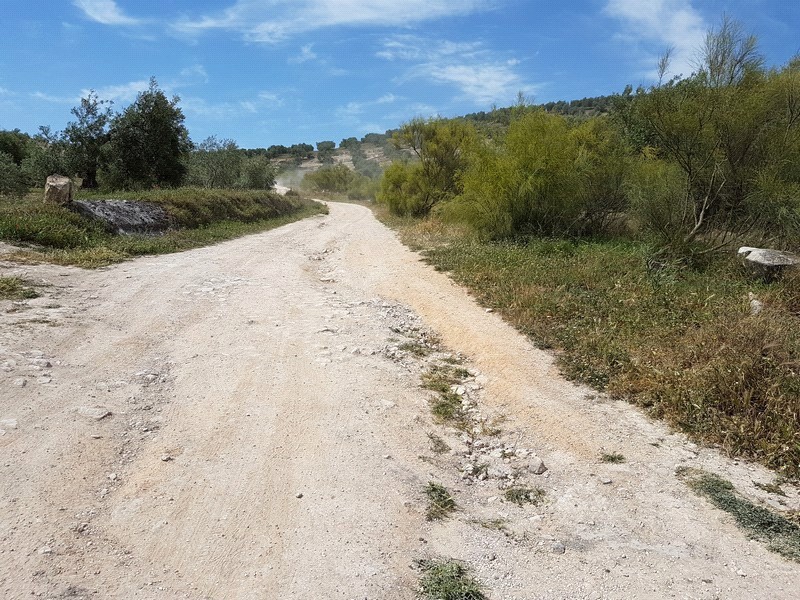 Fotografía ruta de La Encina - Calderona