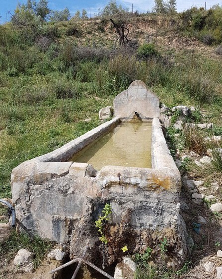 Fotografía ruta de La Encina - Calderona