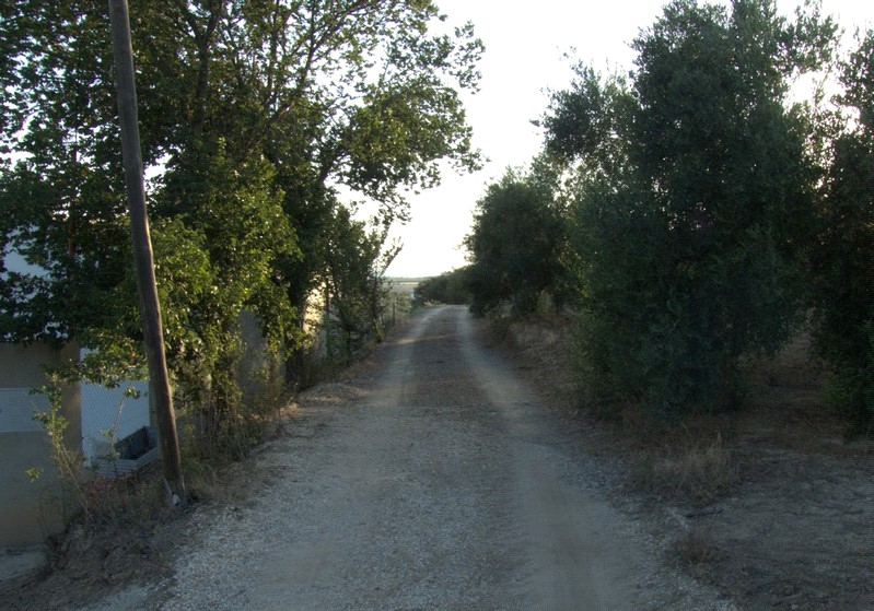 Fotografía ruta de La Encina - Calderona
