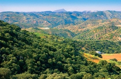 Fotografía ruta de La Gomera