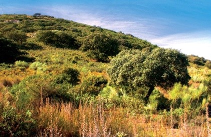Fotografía ruta de La Gomera