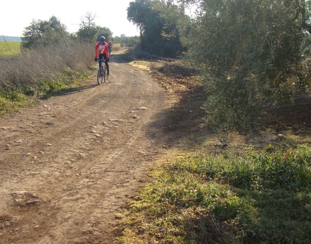 Fotografía ruta de Ípora - Los Naranjos