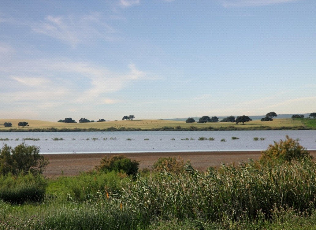 Fotografía ruta de Las Lagunas