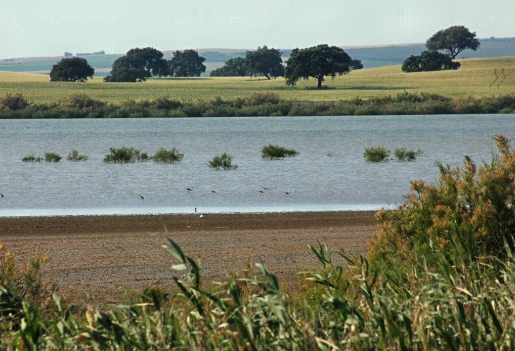 Fotografía ruta de Las Lagunas