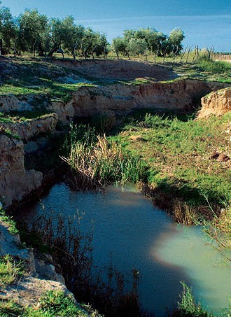 Fotografía ruta del Arroyo 'El salinoso'
