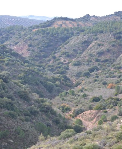 Fotografía ruta del Arroyo 'El salinoso'