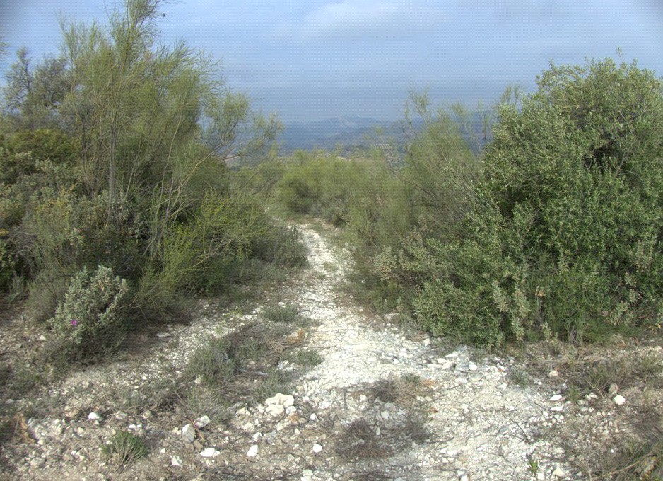 Fotografía ruta de La Gomera - Sierra Pérez