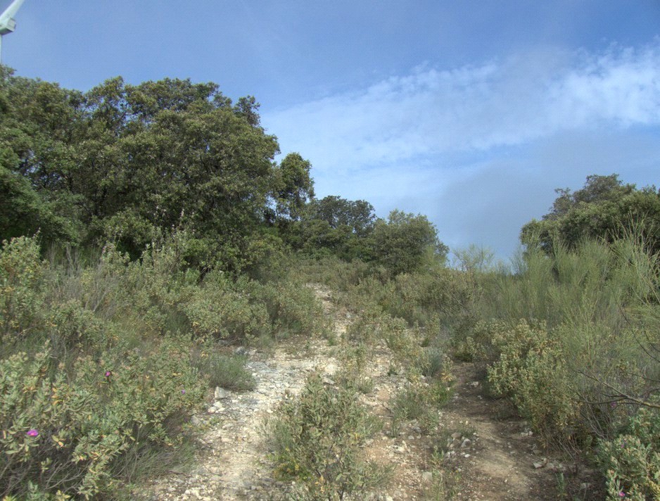 Fotografía ruta de La Gomera - Sierra Pérez