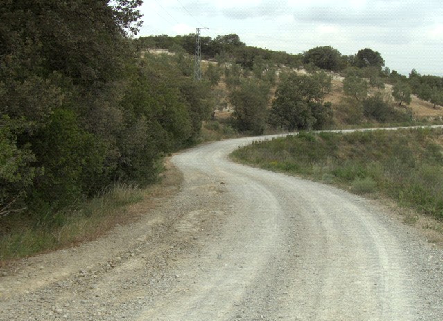 Fotografía ruta de Las Viñas